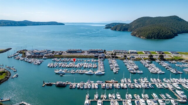 bird's eye view of a large body of water and numerous boat docks