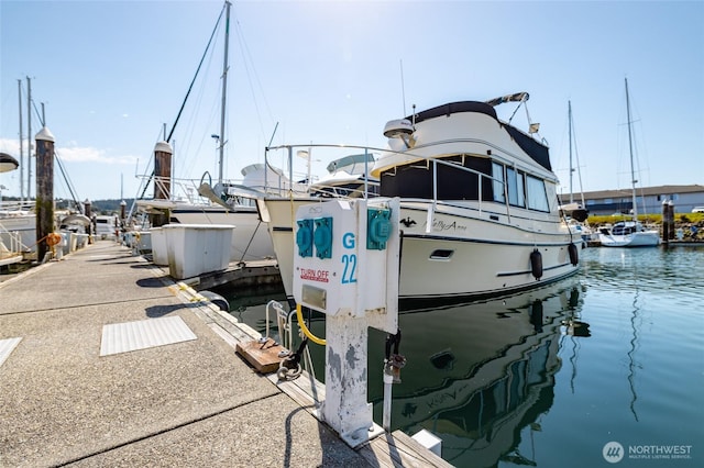 dock featuring a water view