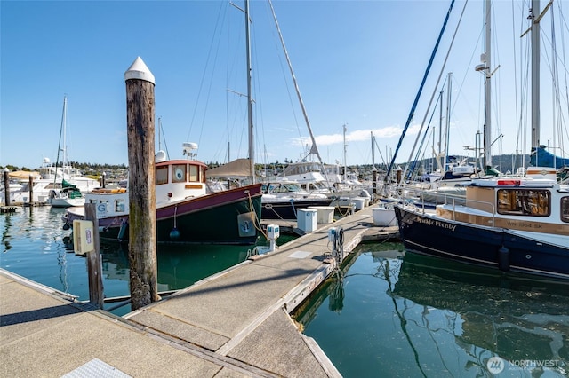 dock featuring a water view