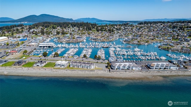aerial view of a water and mountain view and a marina