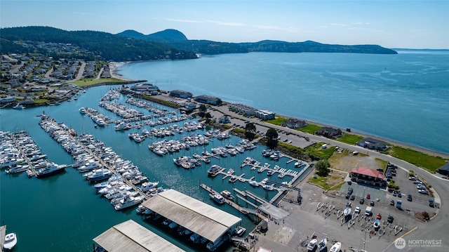 aerial view of a nearby body of water and numerous boat docks