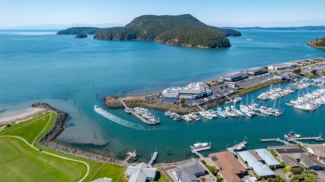 bird's eye view of a water and mountain view and numerous boat docks