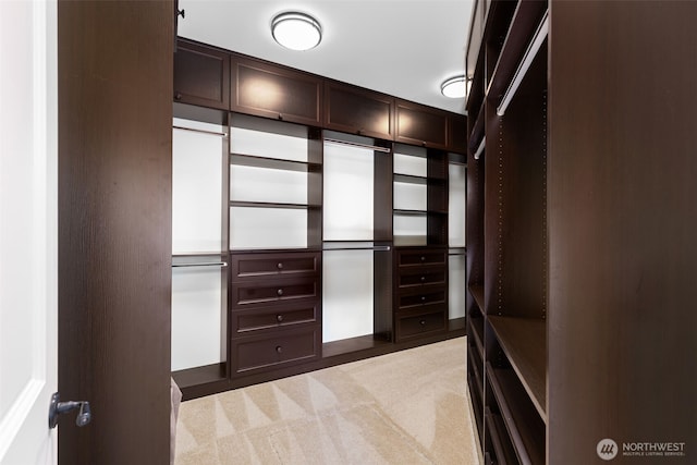 11281 Fieldstone Ln NE, Bainbridge Island, WA 98110 - walk in closet with light carpet