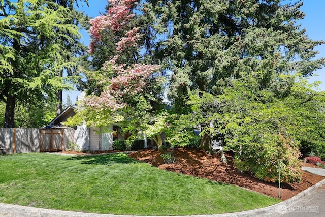 9022 NE 132nd Pl, Kirkland, WA 98034 - view of yard