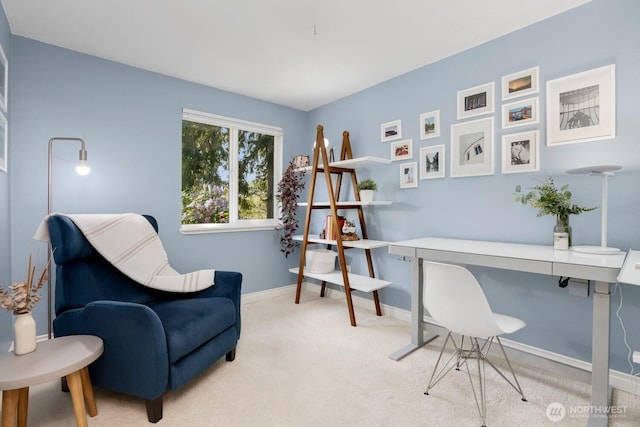 home office with carpet flooring and baseboards