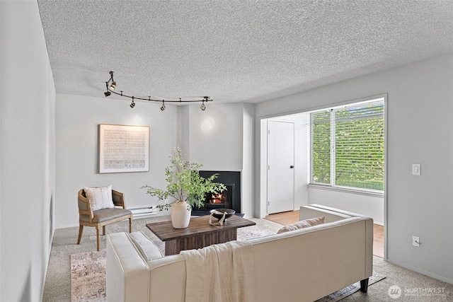 2421 SW Trenton St Unit 106, Seattle, WA 98106