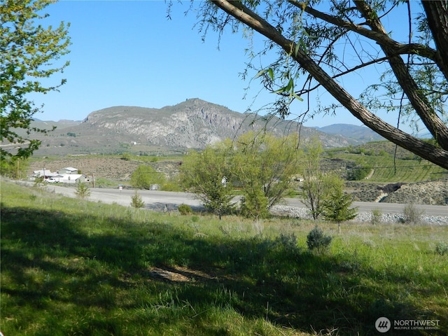 23 Valley View Dr, Tonasket, WA 98855 - photo 8