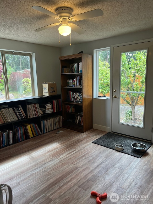 240 Parkwood Blvd, Sequim, WA 98382 - entryway featuring plenty of natural light, wood finished floors, ceiling fan, and a textured ceiling
