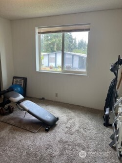 240 Parkwood Blvd, Sequim, WA 98382 - exercise room featuring healthy amount of natural light, carpet floors, and a textured ceiling