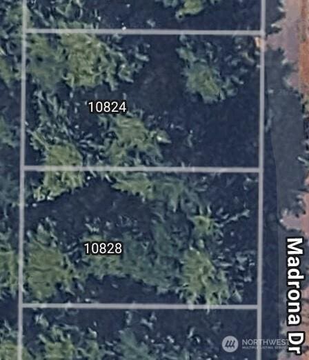 10824 Madrona Dr, Anderson Island, WA 98303