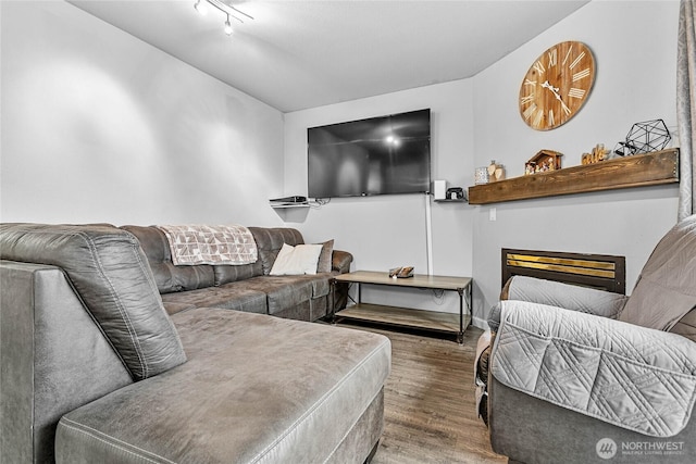 living area featuring wood finished floors and a fireplace