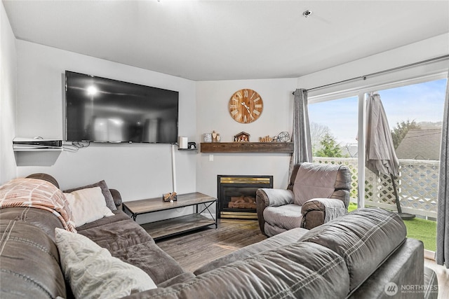 living area with a glass covered fireplace and wood finished floors