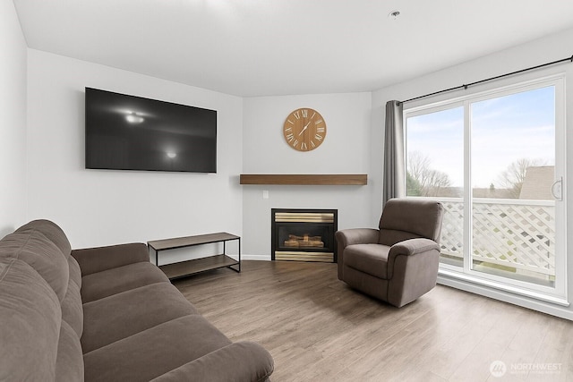 2709 Maplewood Ave Unit 304, Bellingham, WA 98225 - living room featuring wood finished floors, a glass covered fireplace, and baseboards