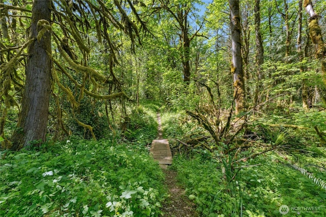 24005 SE 132nd Way, Issaquah, WA 98027 - view of tree filled area