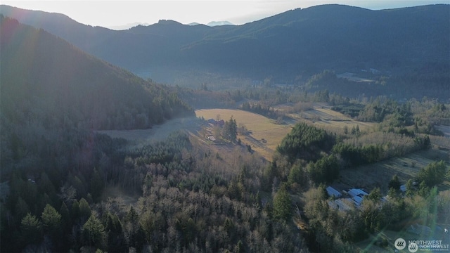 mountain view featuring a wooded view
