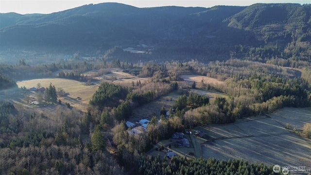 mountain view featuring a wooded view