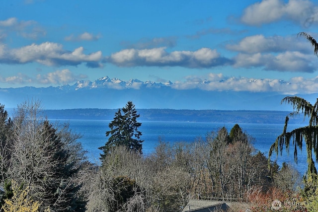 1491 Olympic Heights Ln, Freeland, WA 98249 - property view of water
