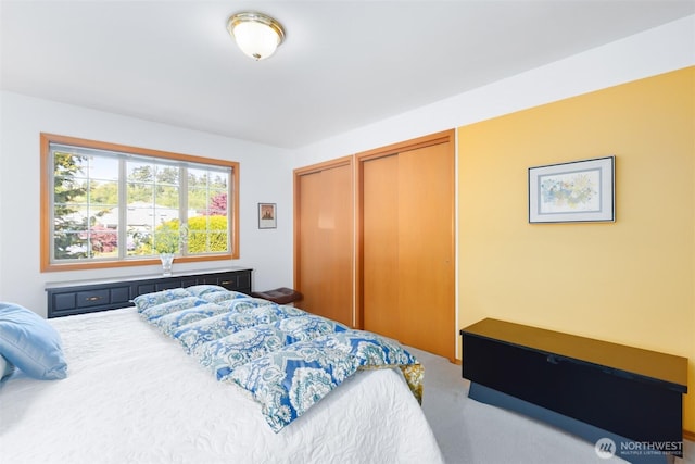bedroom with two closets and carpet flooring