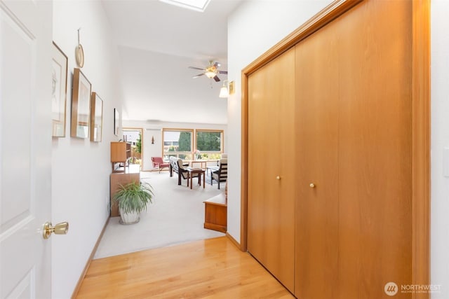 hallway featuring wood finished floors