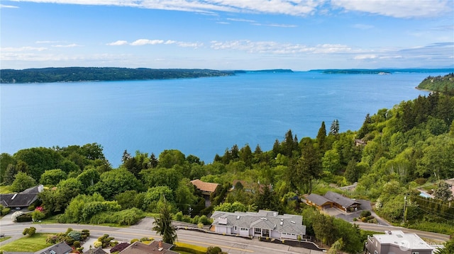 6117 92nd St SW, Mukilteo, WA 98275 - bird's eye view of a nearby body of water