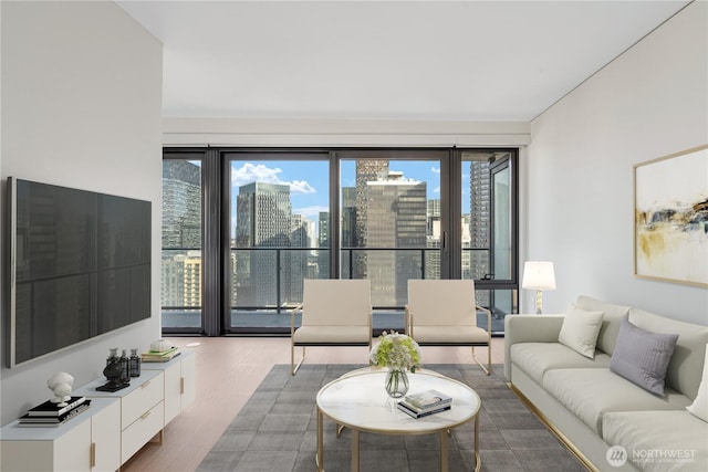 300 Virginia St Unit 2502, Seattle, WA 98101 - living area featuring a view of city and wood finished floors