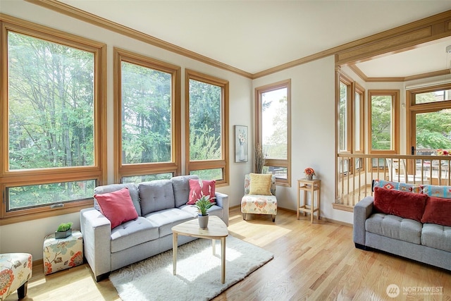 sunroom with baseboards, ornamental molding, and wood finished floors