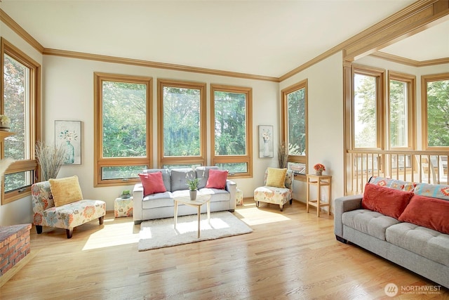 sunroom / solarium featuring a healthy amount of sunlight