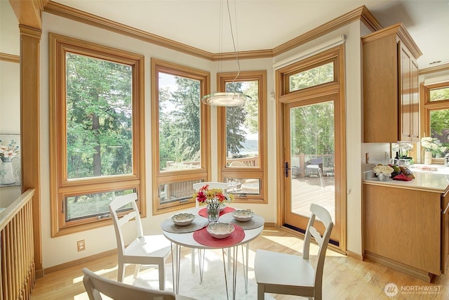 sunroom with a healthy amount of sunlight, ornamental molding, and wood finished floors