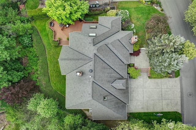 bird's eye view
