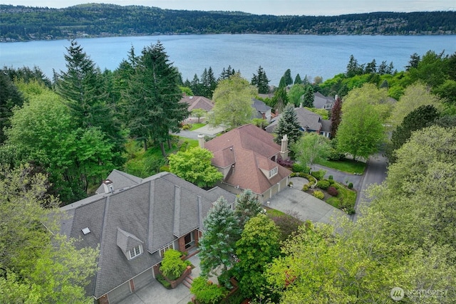 bird's eye view with a water view and a forest view