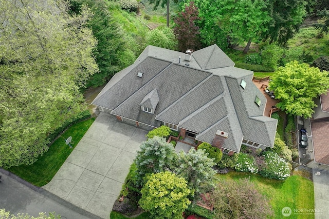 drone / aerial view