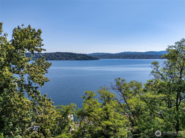 97XX Arrowsmith Ave S, Seattle, WA 98118 - photo 1