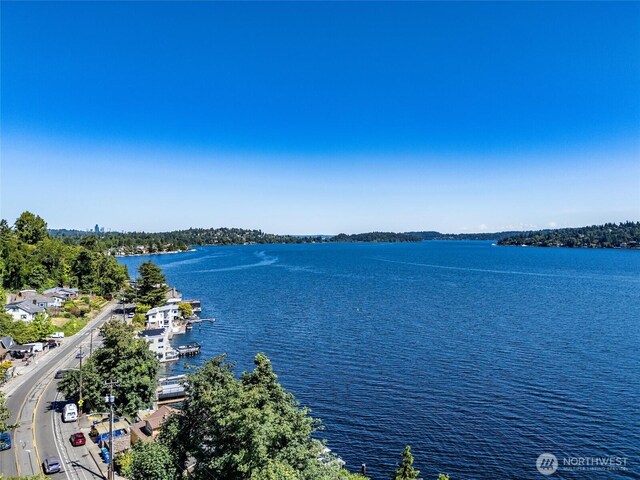 97XX Arrowsmith Ave S, Seattle, WA 98118 - photo 4