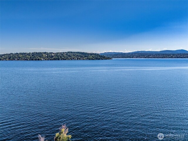 97XX Arrowsmith Ave S, Seattle, WA 98118 - photo 5