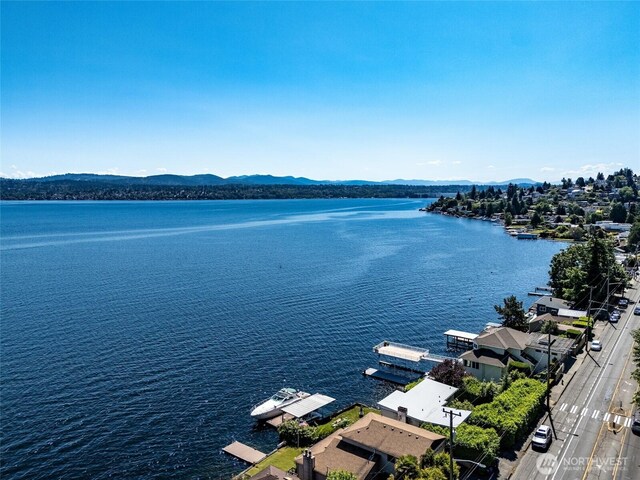 97XX Arrowsmith Ave S, Seattle, WA 98118 - photo 7