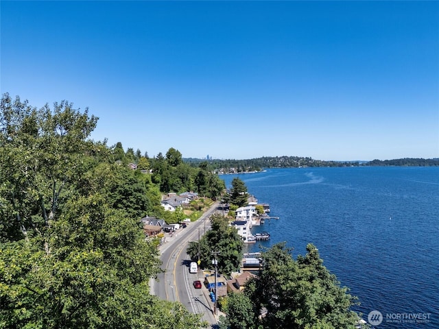 97XX Arrowsmith Ave S, Seattle, WA 98118 - photo 11