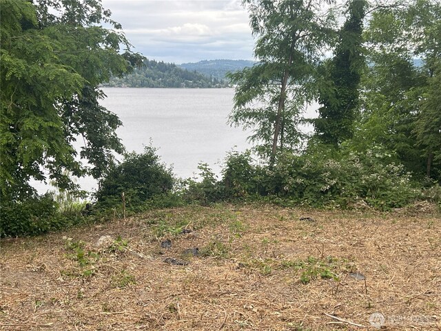 97XX Arrowsmith Ave S, Seattle, WA 98118 - photo 12