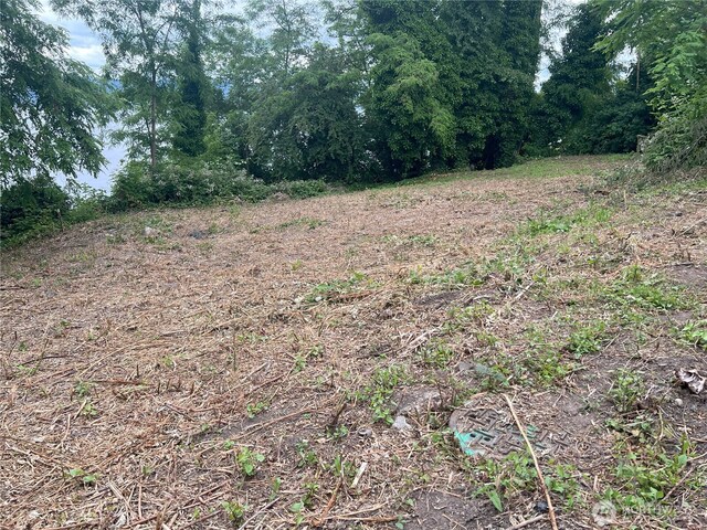 97XX Arrowsmith Ave S, Seattle, WA 98118 - photo 13