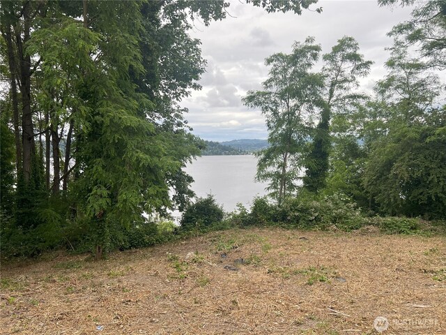 97XX Arrowsmith Ave S, Seattle, WA 98118 - photo 15