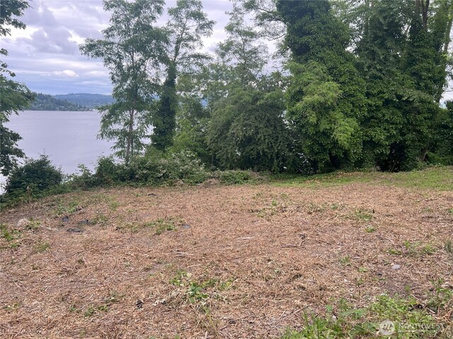 97XX Arrowsmith Ave S, Seattle, WA 98118 - photo 16