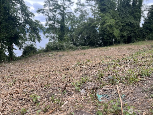97XX Arrowsmith Ave S, Seattle, WA 98118 - photo 18