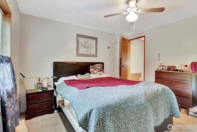 9810 State St Unit 20, Marysville, WA 98270 - photo 3