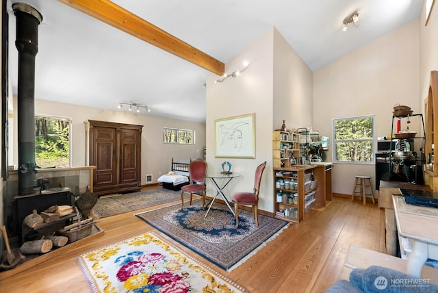living room with rail lighting, a healthy amount of sunlight, a wood stove, and hardwood / wood-style floors
