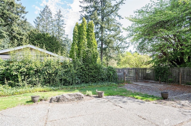 view of yard featuring a patio and fence
