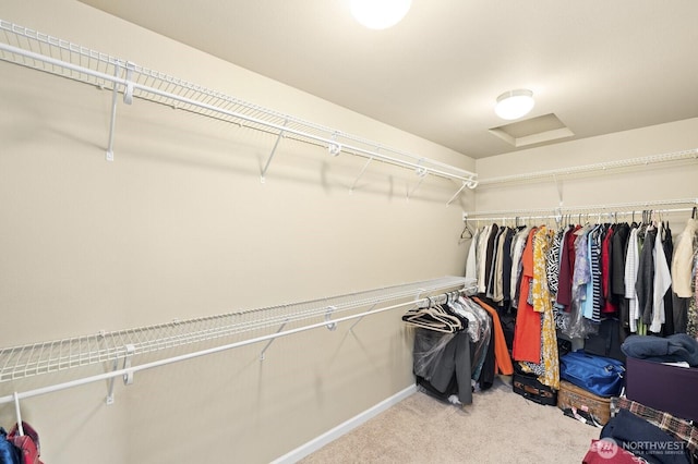 18709 138th Street Ct E, Bonney Lake, WA 98391 - walk in closet with carpet floors and attic access