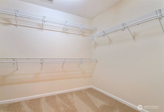 18709 138th Street Ct E, Bonney Lake, WA 98391 - photo 22