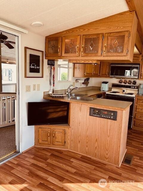 kitchen featuring a sink, stainless steel microwave, white electric stove, and wood finished floors