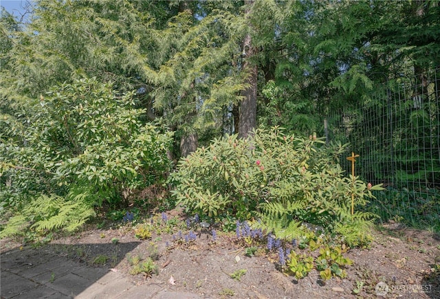 2078 11th St, Port Townsend, WA 98368 - view of nature
