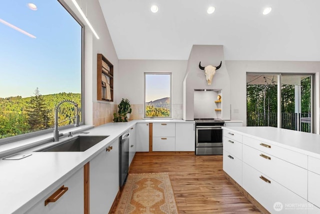 5601 Lewis River Rd, Ariel, WA 98603 - kitchen featuring stainless steel appliances, a sink, light countertops, light wood finished floors, and recessed lighting