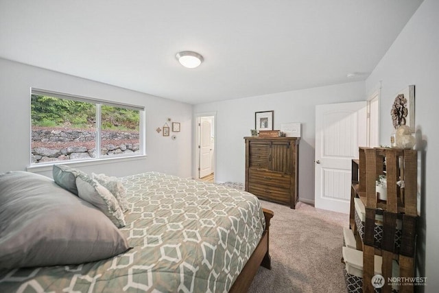 155 Baldwin Ln, Port Ludlow, WA 98365 - bedroom featuring light colored carpet